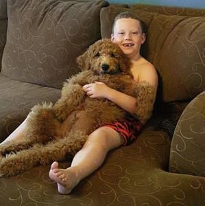 Meet your Posher, Laura